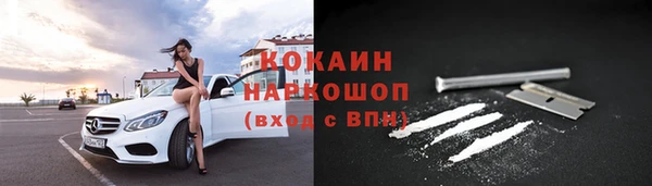 твердый Алексин