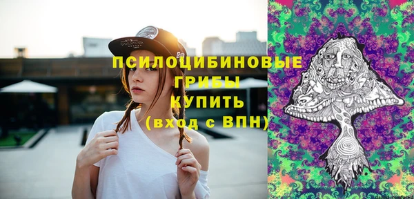 круглые Алзамай